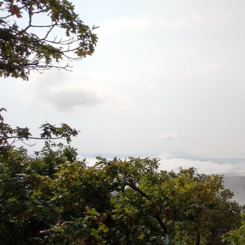 Atop a mountain overlooking a forest with a cloudy grey sky.